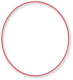 MIT Visualizing Cultures