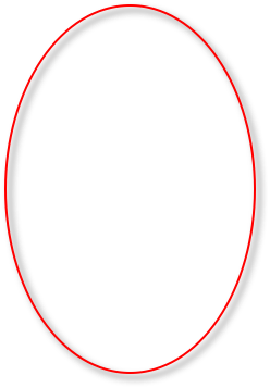 MIT Visualizing Cultures