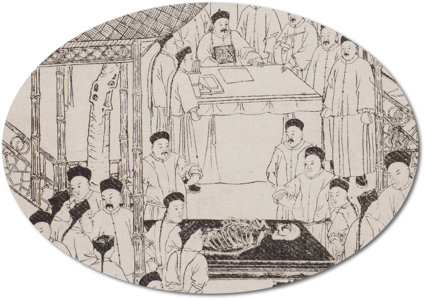 MIT Visualizing Cultures