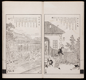 dz_v05_018