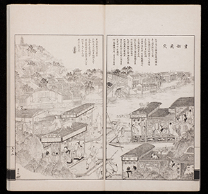 dz_v06_005