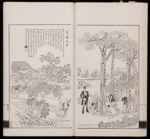 dz_v06_029