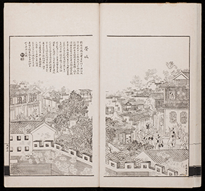 dz_v06_046