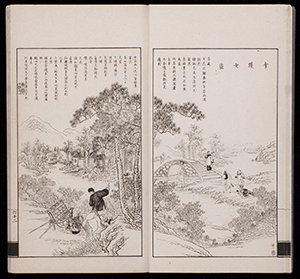 dz_v08_016