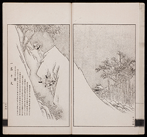 dz_v08_040