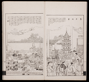 dz_v09_005