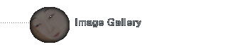 Image Galleries