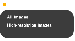 Image Galleries