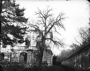 ohlmer_1873_I_EuPav_ChMM