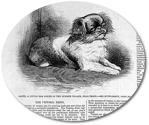 1861_June15_ILN_Looty_det2.jpg