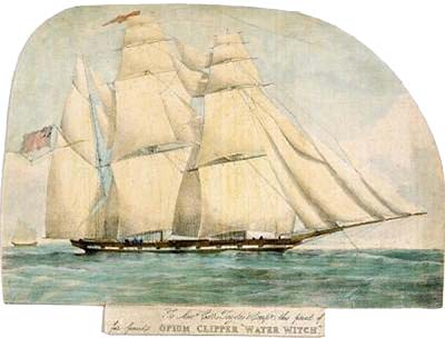 1831_WaterWitch_PW7719_nmm