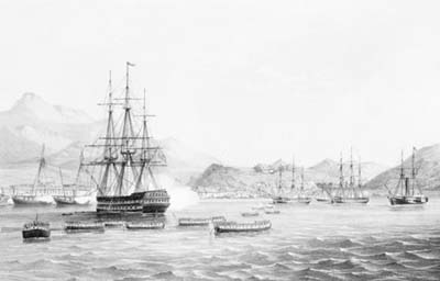1840_PAG9185_Chusan_nmm