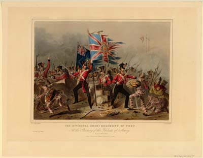 1841_IrishStormAmoy_Brown