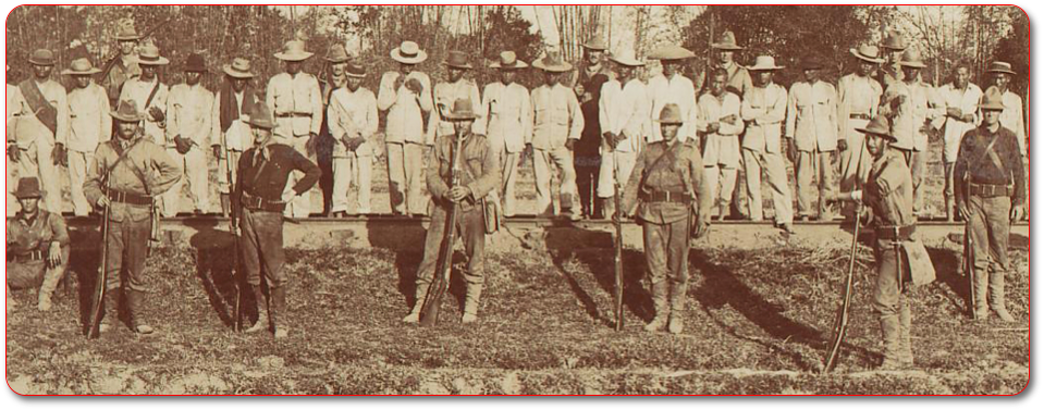 MIT Visualizing Cultures