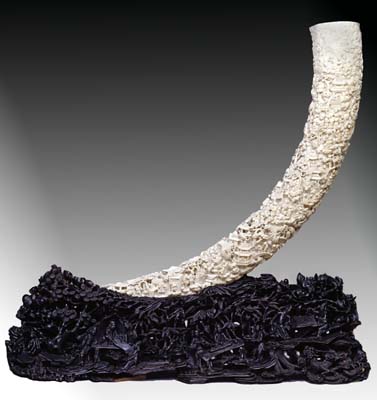 cwO_E39364_Tusk