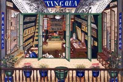 cwSHOP_E85592_TingquasStu