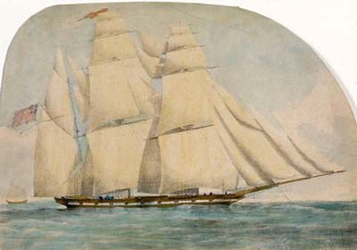cwSP_1831_nmm_PAF7719