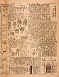 sh02_GP_1925_03_0502