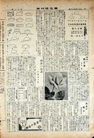sh02_GP_1926_02_1702