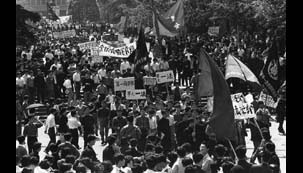 anp7108_Hamaya_RG08_Jun3