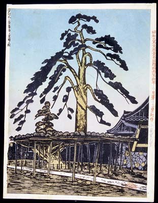 kk064_1935_w043_pine copy