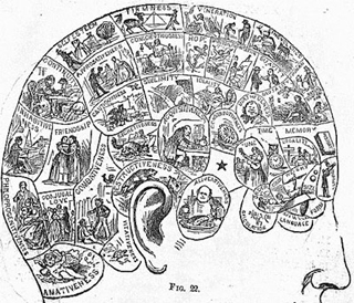 Symbolical head from How to Read Character by Wells.