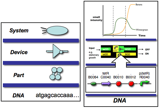 Diagram mapping the Eau d'coli project to the system, device, and part abstraction layers.