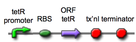 Diagram of the Eau d'coli inverter part.