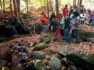 A group of students listening to an instructor.