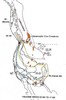 Volcanic rocks 53 MA to 17 MA.