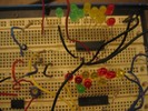 Color Organ's response to a low frequency sound.