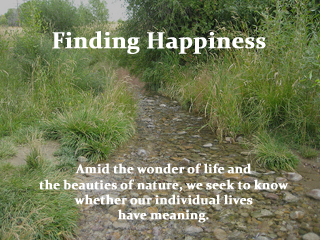 A quote about happiness is overlayed over a photo of a stream. 