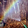 A garden house spraying water creates a rainbow in the air.