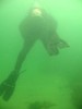 Photograph of a diver underwater. As they eat, the divers swap stories about what they saw underwater.